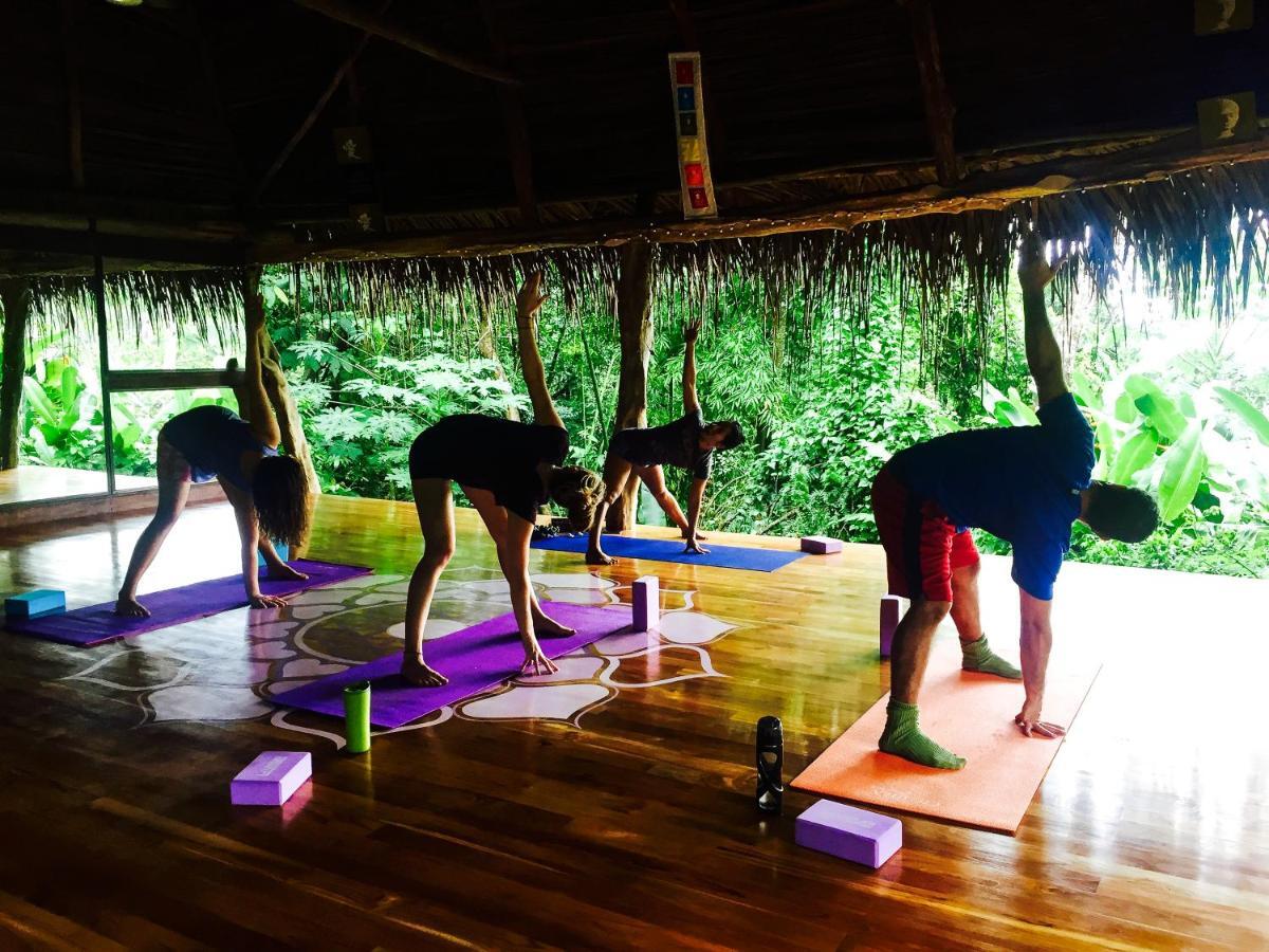 Jungle Lodge At Wild Sun Rescue Center Cabuya  Luaran gambar