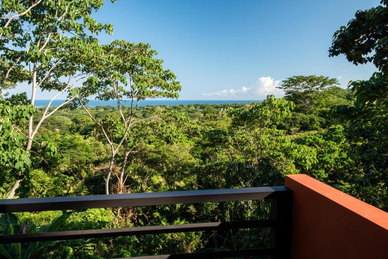 Jungle Lodge At Wild Sun Rescue Center Cabuya  Luaran gambar