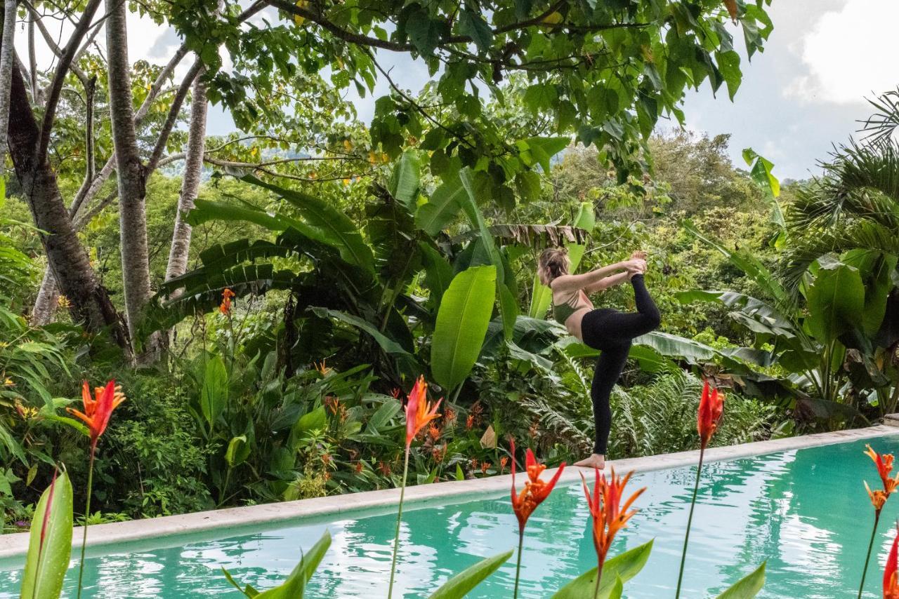 Jungle Lodge At Wild Sun Rescue Center Cabuya  Luaran gambar
