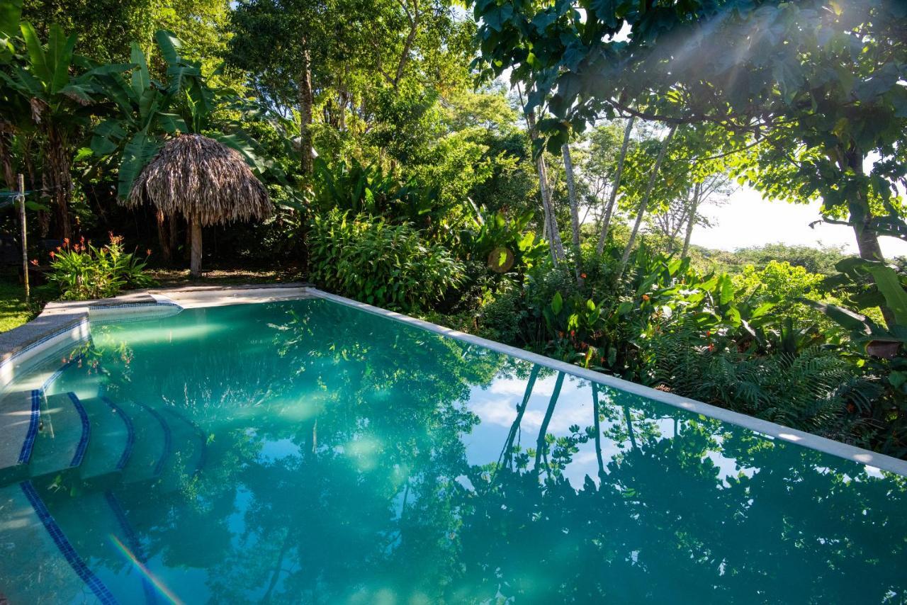 Jungle Lodge At Wild Sun Rescue Center Cabuya  Luaran gambar